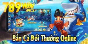 Hướng Dẫn Chơi Bắn Cá 2D Đổi Thưởng Cực Kỳ Hấp Dẫn Tại 789Win 4 ban ca 2D 789win 1