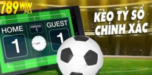 Sức lôi cuốn của Kèo Tỷ Số 789win